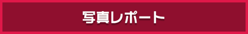 ʐ^|[g
