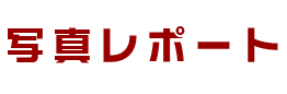 ʐ^|[g